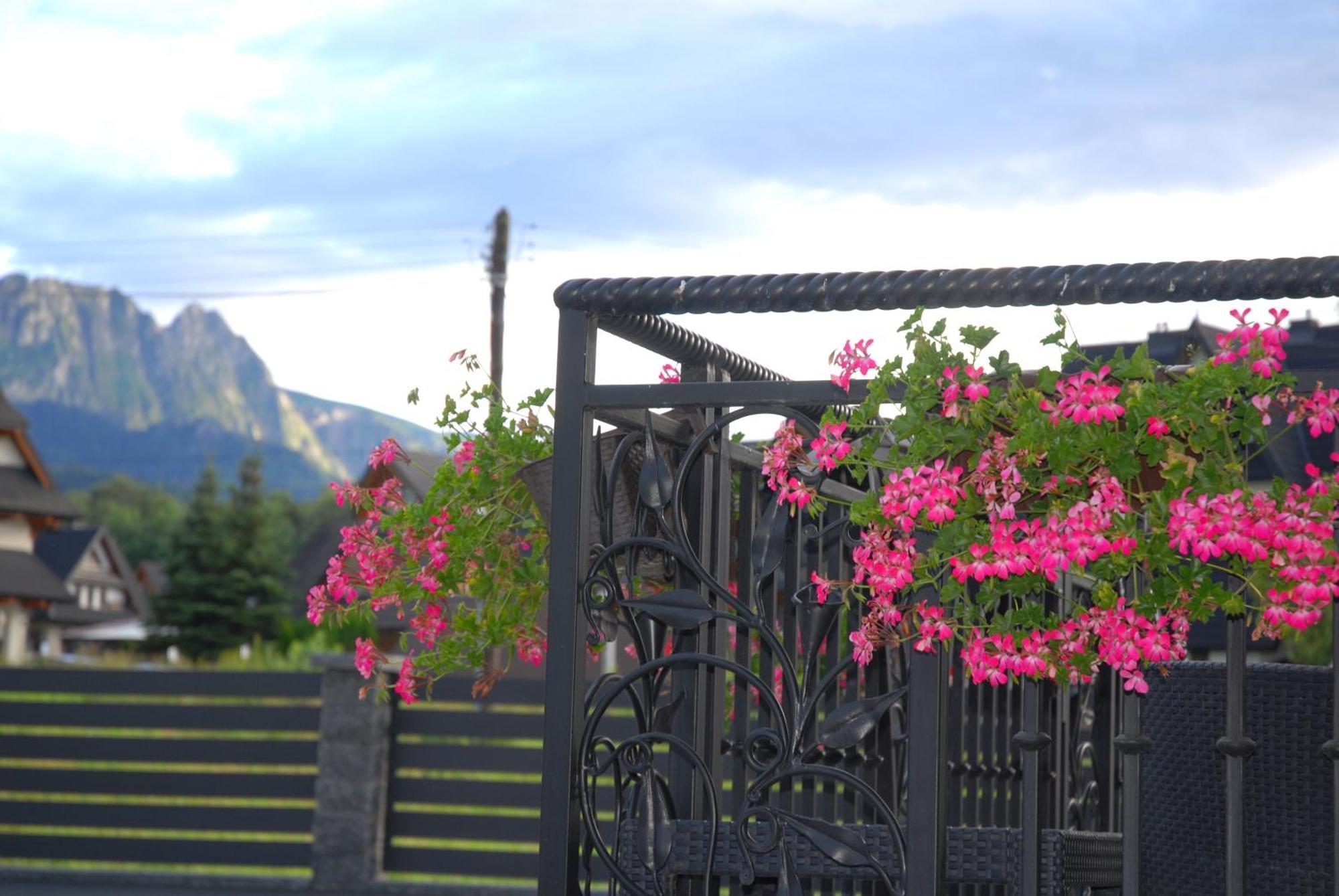 "Czarna Turnia "Zakopane B&B 외부 사진