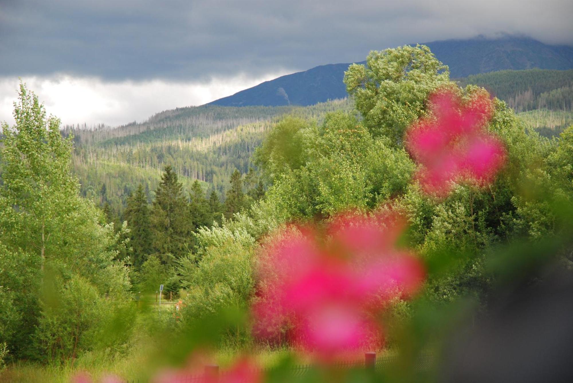 "Czarna Turnia "Zakopane B&B 외부 사진